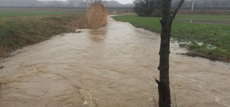 Neumarkt dem Hochwasser entkommen