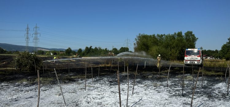Kinder schlagen rechtzeitig Alarm – Großflächiger Feldbrand eingedämmt